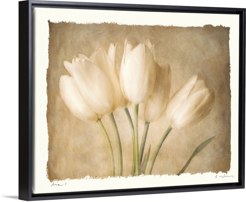Decorative painting of a small bouquet of tulips in subtle, neutral tones, on a white background.