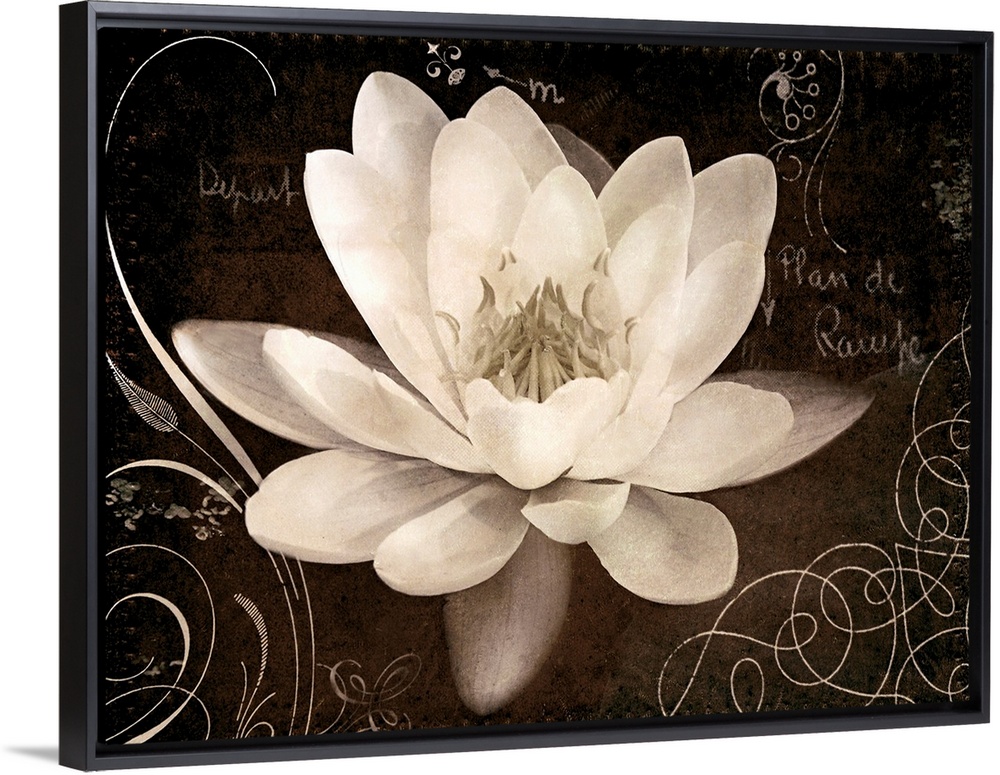 Giant canvas art includes a close-up of a flower surrounded by a number of curved accent lines and text.
