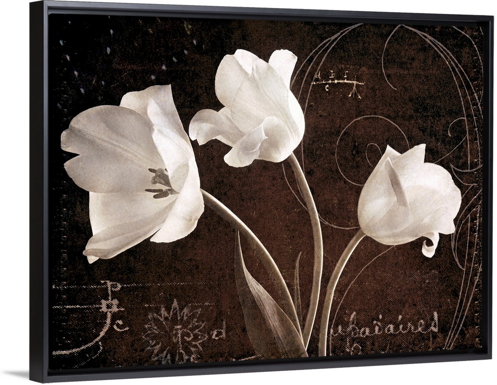 Big canvas of three flowers against a vintage background with decorative markings and writings.