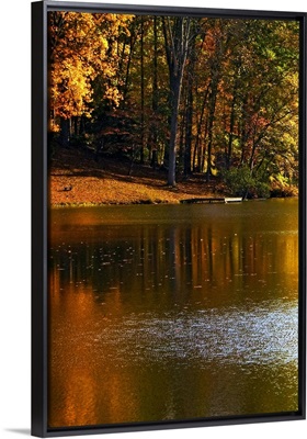 Gold Reflections
