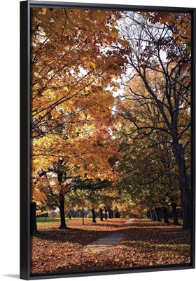 Maymont Maples III