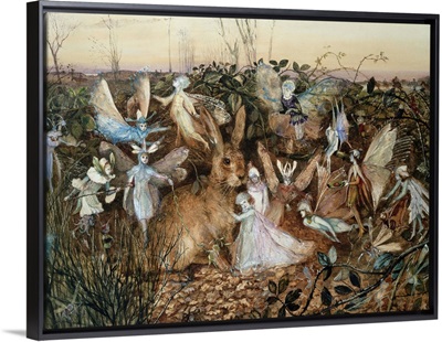 A Rabbit Among The Fairies