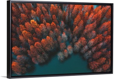 Autumn Trees And Green Lake