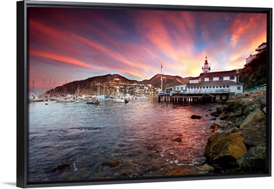 Avalon harbor at sunset