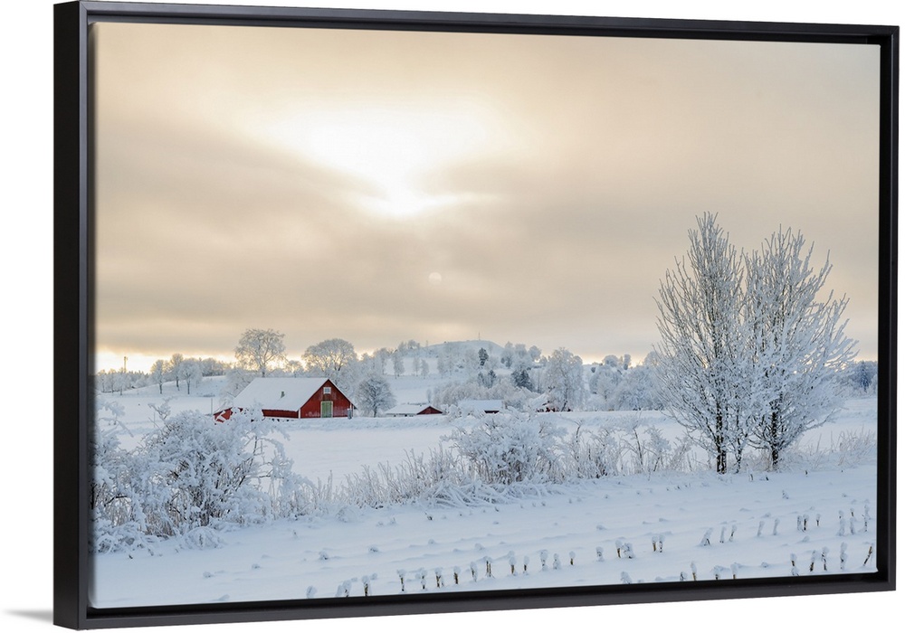 Farm In A Rural Winter Landscape With Snow And Frost