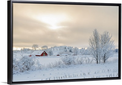 Farm In A Rural Winter Landscape With Snow And Frost