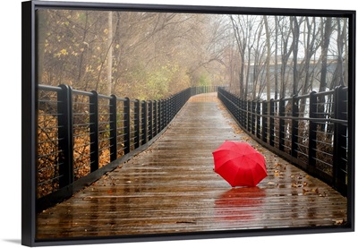 Red umbrella abandon on a wet nature trail