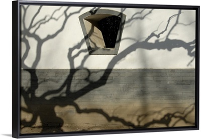 Shadow of a tree on a wall build in traditional style