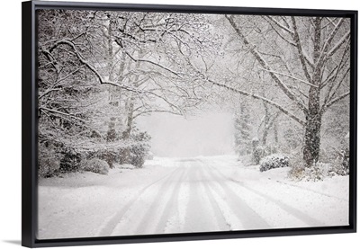 Snowy road in snow storm