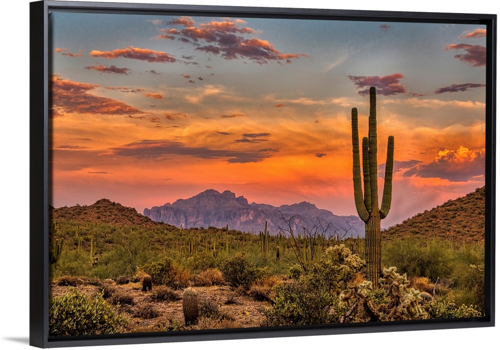 Sunset in the Sonoran Desert near Phoenix, Arizona.