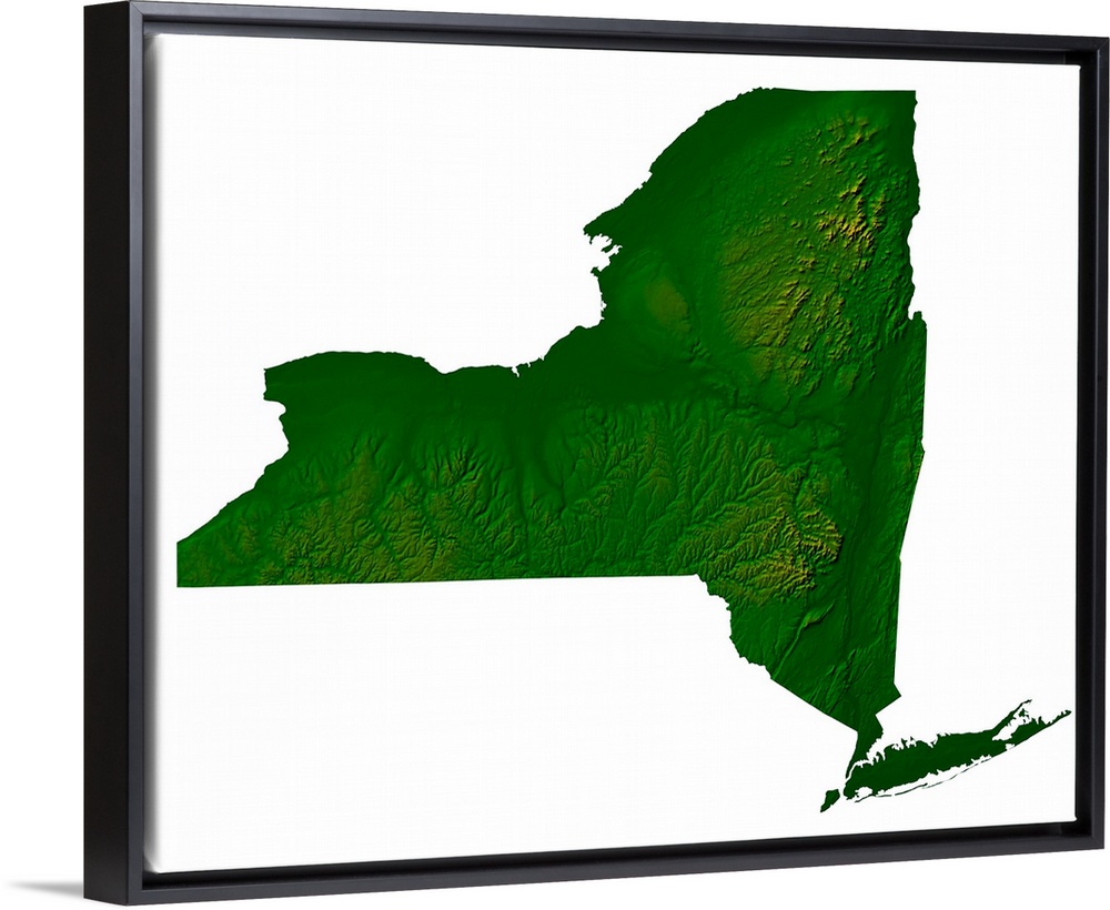Topographic map of New York State