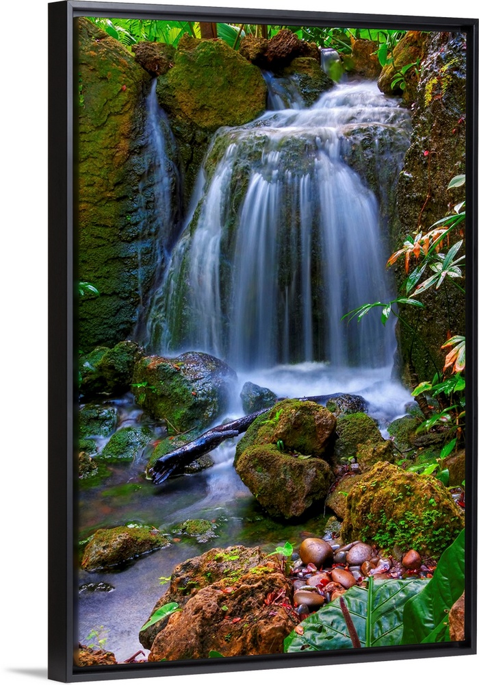 Photograph of cascading water falling into a rocky stream in colorful forest.