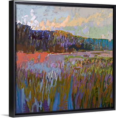 More Than The Eye Can See