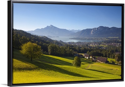Alpine Meadow, Mondsee, Mondsee Lake, Oberosterreich, Upper Austria, Austria