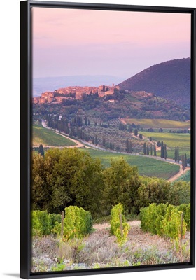 Castelnuovo del'Abate, Tuscany, Italy