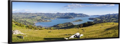 Elevated view over Banks Peninsular, Canterbury, South Island, New Zealand