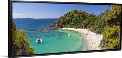 Elevated view over Whale Bay, Tutukaka Coast, Northland, North Island, New Zealand
