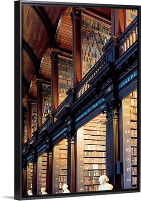 Europe, Dublin, Ireland, Trinity College library interior