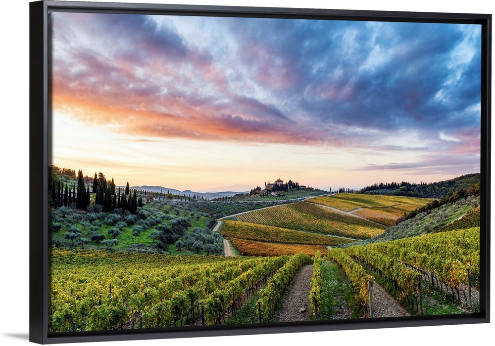 Farmhouse Surrounded By Vineyards At Sunrise. Gaiole In Chianti, Siena Province, Tuscany, Italy.