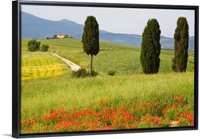 Farmhouse, Val d' Orcia, Tuscany, Italy