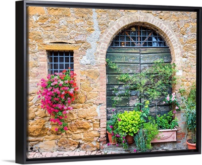 Flowers And Green Door, Monitisi, Tuscany, Italy
