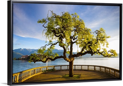 Idyllic lakeside park and Isola Bella,  Borromean Islands, Lake Maggiore, Italy