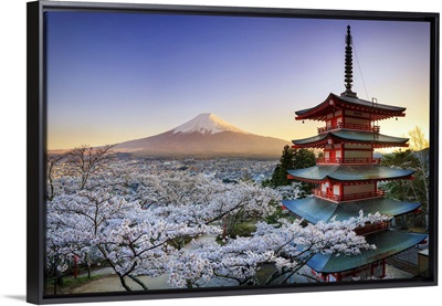 Japan, Yamanashi Prefecture, Fuji-Yoshida, Chureito Pagoda, Mt Fuji and Cherry Blossoms
