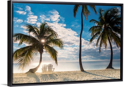 Palm Trees And Love Seat,  Islamorada, Florida Keys, USA