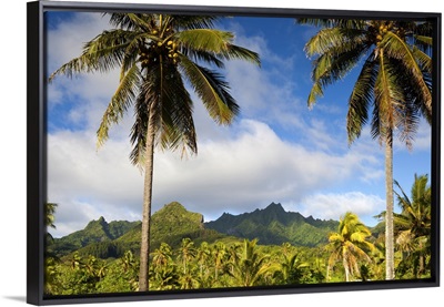 Rarotonga, Cook Islands, South Pacific