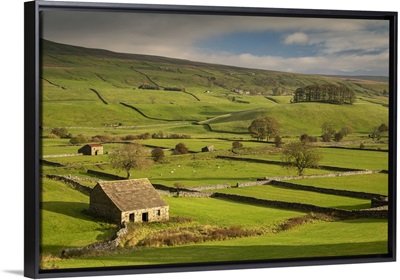 Stone Barns And Dry Stone Walls In Wensleydale, Yorkshire Dales National Park, England
