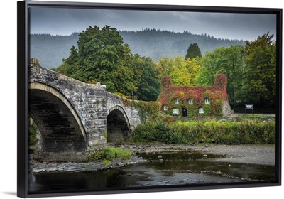 Tu Hwnt L'r Bont Tearooms Covered In Virginia Creeper In Autumn, Llanrwst, Conwy, Wales
