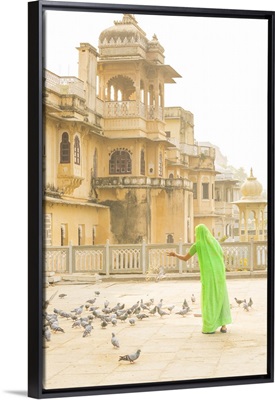 Woman feeding pidgeons, Udaipur, Rajasthan, India