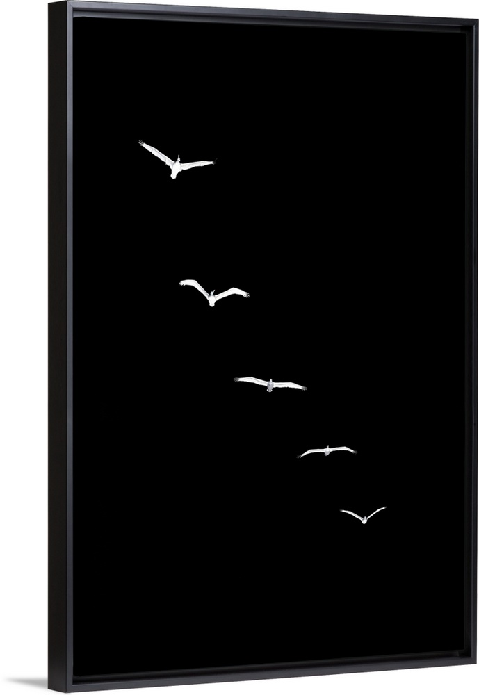 Heavenly Creatures - Dark