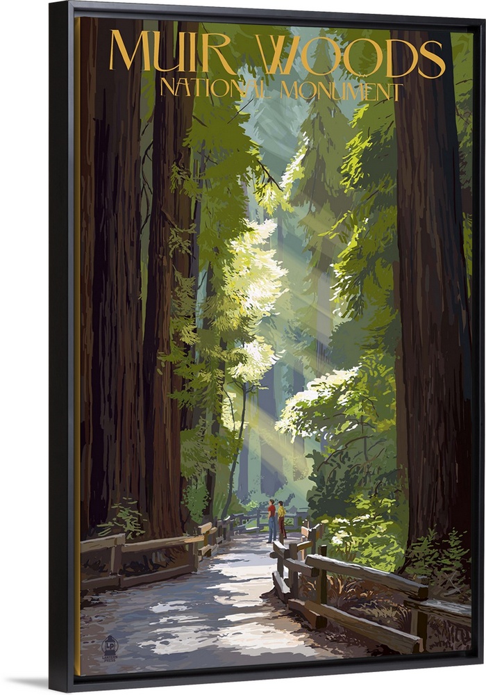 Muir Woods National Monument, California - Pathway: Retro Travel Poster