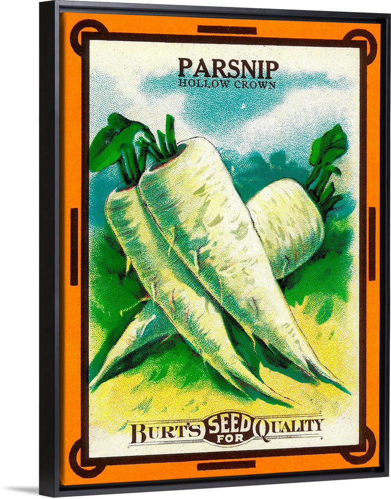 A vintage label from a seed packet for parsnips.