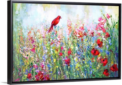Cardinal among the wildflowers