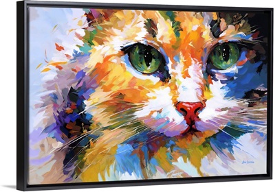 Colorful Cat's Gaze