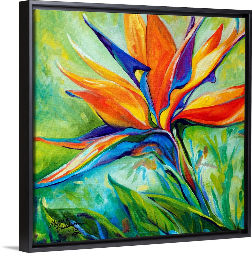 A floral abstract original oil painting of the Bird of Paradise blossom on a square background.