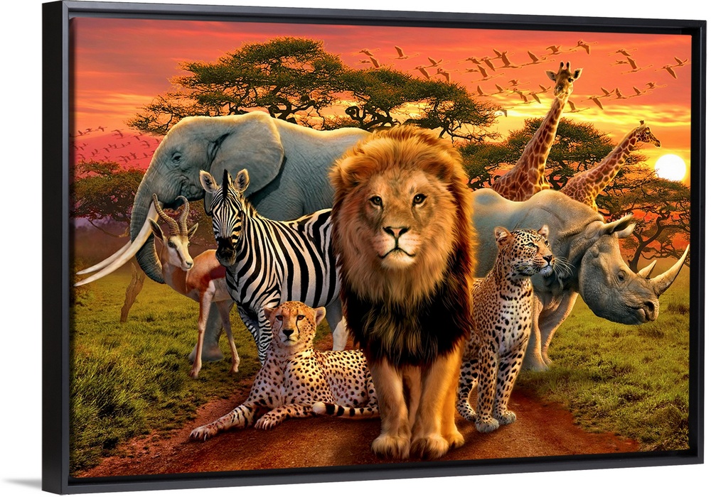 Large illustration of a lion, zebra, elephant, rhinoceros, gazelle, cheetahs, giraffes and birds as they occupy the plains...