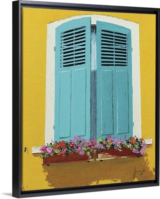 Blue Shutters And Flowerbox