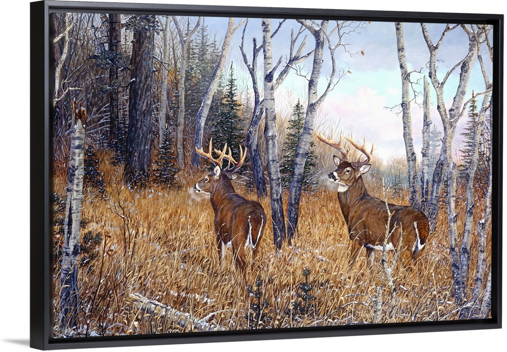 Artwork of two deer in the woods.