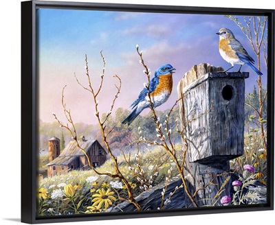Old Homestead Bluebirds