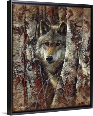 Wolf - Woodland Spirit