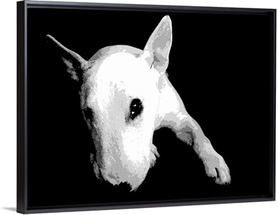 English Bull Terrier, Pop Art Print