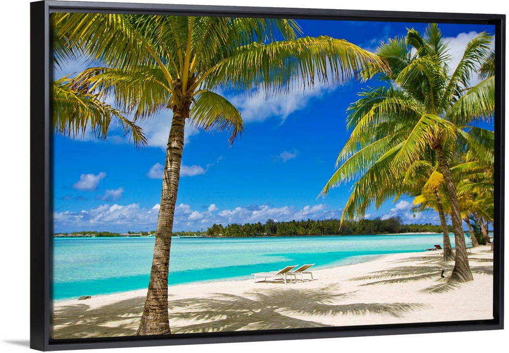 Tropical Palm Trees and white sand beaches in Bora Bora in the French Polynesian islands.