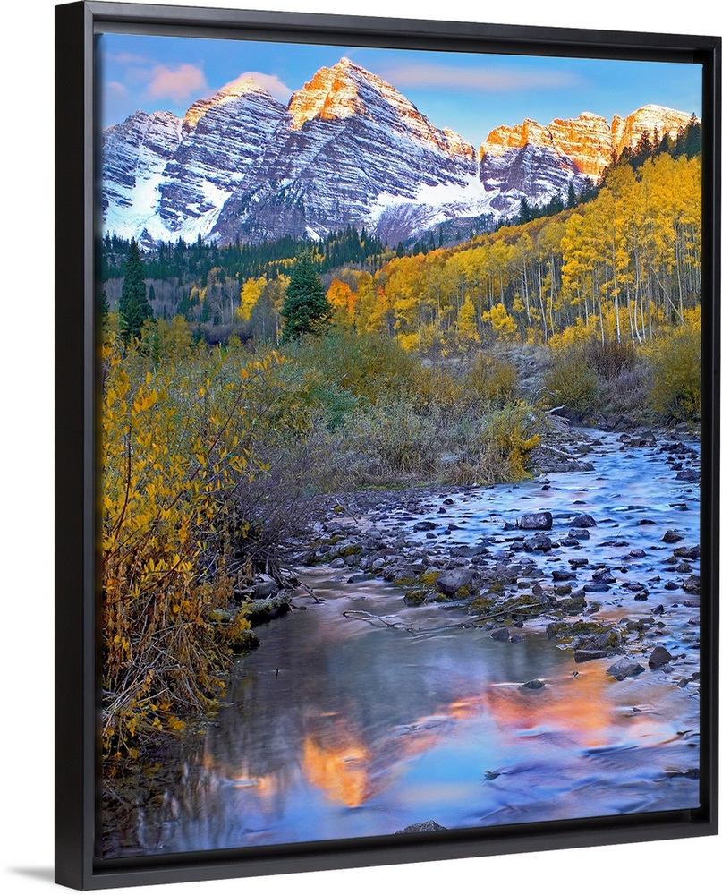 Vertical wall art photograph of a rock filled stream running through an aspen tree filled meadow in the Rocky Mountains.