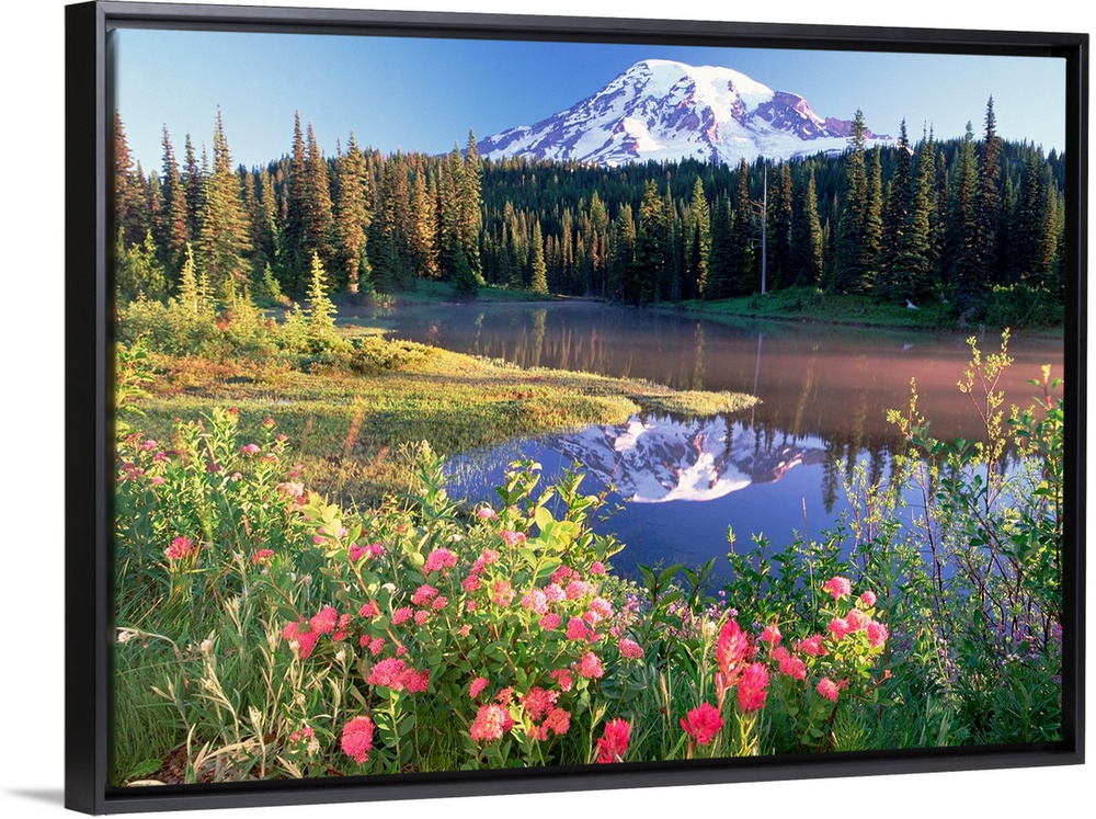 A snow covered mountain is reflected in a lake that is lined with a dense forest with spring flowers in the foreground.