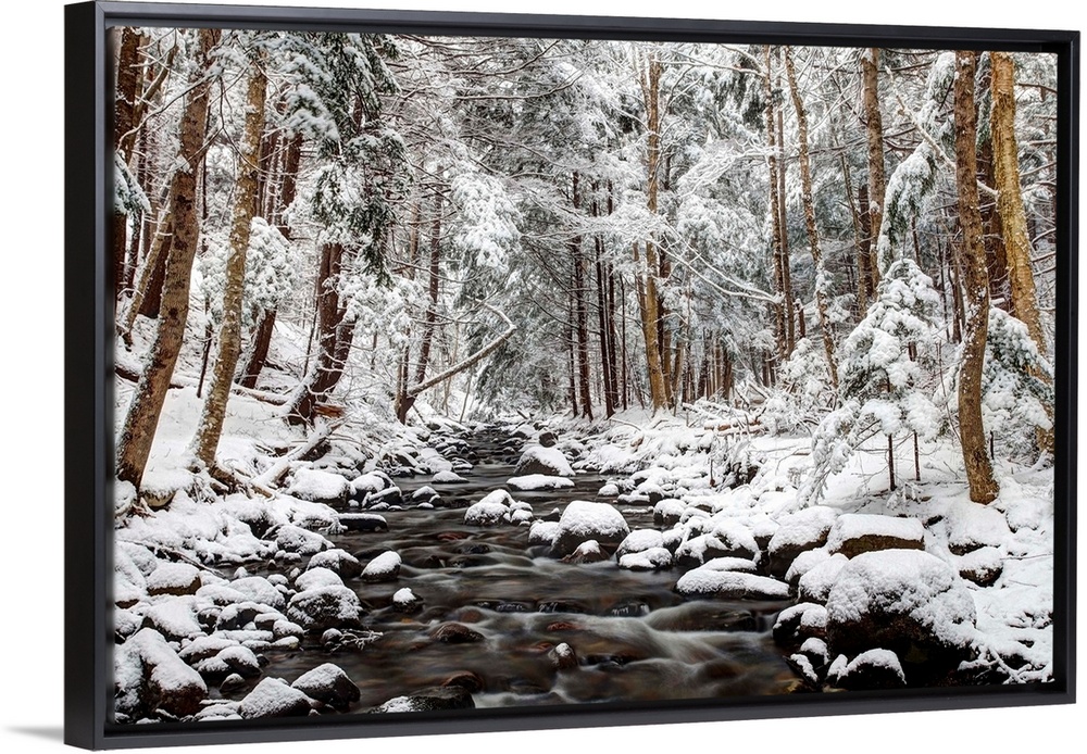 Flowing creek surrounded by several round stones in a forest of thin evergreen trees, covered in fresh snow.