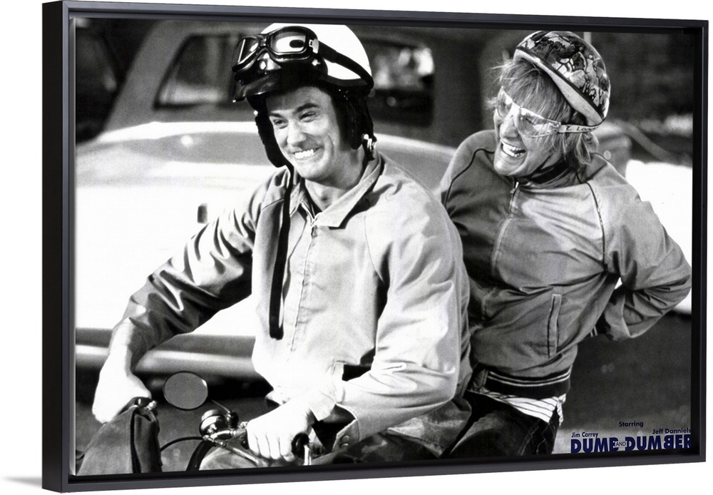 Moronic limo driver Lloyd Christmas (Carrey) and equally dense dog groomer Harry Dunne (Daniels) travel (in the hilarious ...