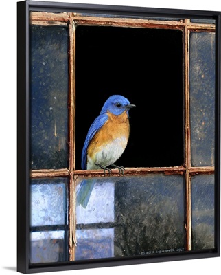 Bluebird Window